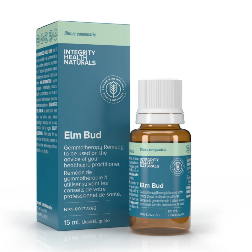 Elm Bud